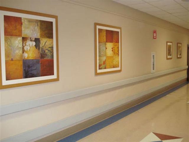 Healthsouth Rehabilitation Hospital