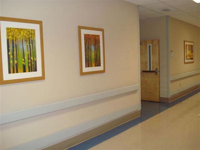 Healthsouth Rehabilitation Hospital